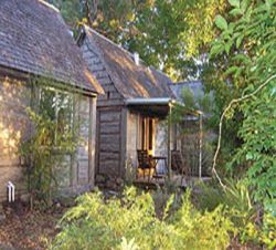 Lamington National Park - Binna Burra Mountain Lodge, Lamington National Park